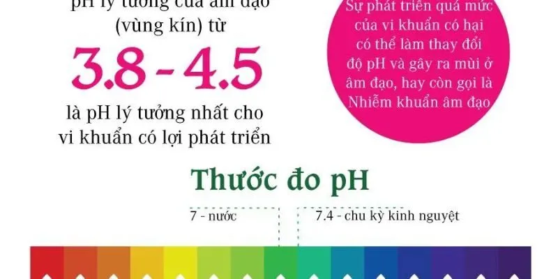 Những điều phụ nữ cần biết về độ pH âm đạo
